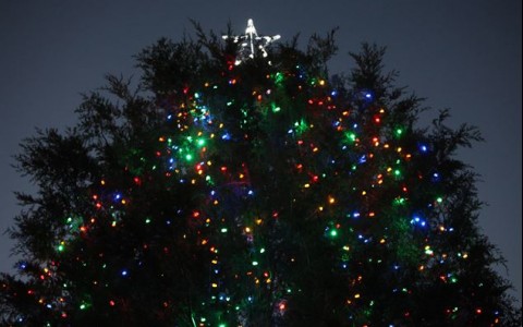 Outdoor Christmas Tree with Lights